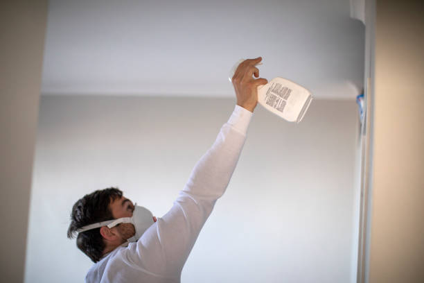 Best Affordable Mold Removal  in Earlington, KY