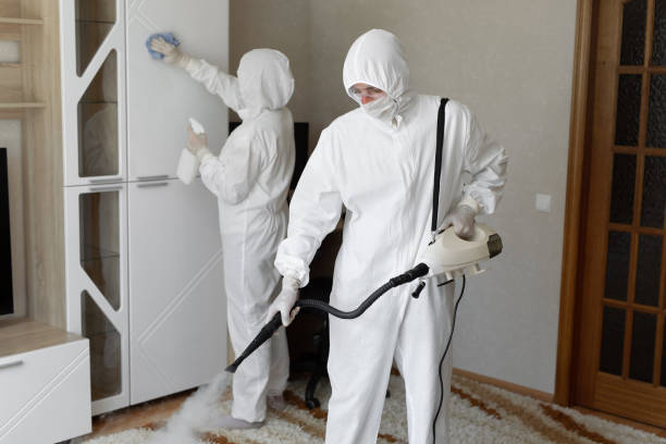 Best Crawl Space Mold Removal  in Earlington, KY
